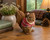 Mrs. Nutters Squirrel Figurine
