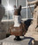 Bust H29 Inches Ge21482 Vendor Image