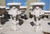 Pair of White Marble Classical Cherub Planters 47 Inches High x 23 Inches Deep Vendor Image
