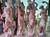 Set 4 Multi Colored Marble Four Seasons on Base 79 Inches High Vendor Image