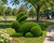 Verdant Estate Rabbit Topiary Sculpture
