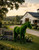 Highland Meadow Horse Topiary Sculpture