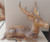Suar Wood Deer