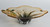 Amber Blossom Display Dish