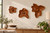 Set of 3 Teak Blossom Wall Decor