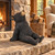 Stargazing Black Bear Cub