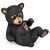Playful Black Bear Cub