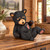 Playful Black Bear Cub