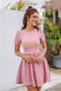 Stretchy A Line Swing Flared Short Sleeve Pink Dress