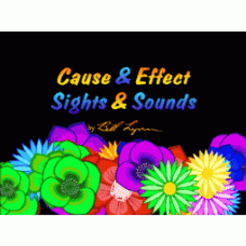 Cause & Effect Sights & Sounds