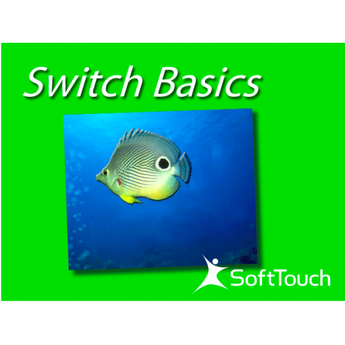 Switch Basics