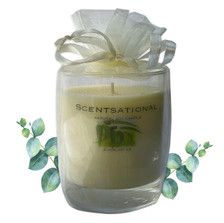 Scented Soy Candles EUCALYPTUS (11 oz & 19 oz) eliminates smoke, household and pet odors.