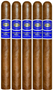 Romeo y Julieta Reserva Real Nicaragua CHURCHILL 50 X 7 Cigars