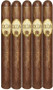 Oliva Serie G CHURCHILL 7 X 50