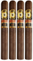 PERDOMO Double Aged 12-Year Vintage SUN GROWN ROBUSTO 5 X 56