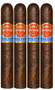 Punch Gran Puro Nicaragua ROBUSTO 4 ⅞ x 48 Cigars