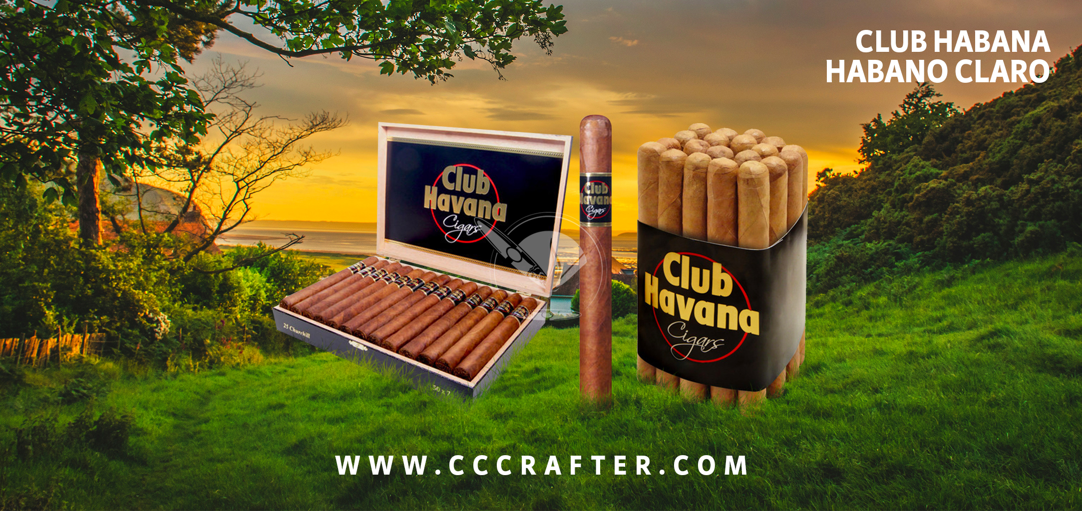 CIGARS BY BRANDS A-Z - CLUB HAVANA CIGARS - Club Havana Habano Claro -  Cigars Crafters