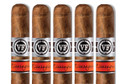 Vegafina Robusto Cigar 50 X 5 Pack of 5 Cigars