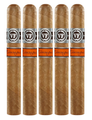 Vegafina Nicaragua Gran toro Cigar 52 X 6 pack of 5 cigars