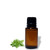 Peppermint Essential Oil