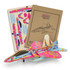 A vibrant pink and blue wooden model jet with accompanying assembly instructions and decorative pieces.