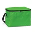 A green cooler bag with a zippered closure and a black handle, featuring a front pocket.
