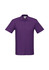 A purple polo shirt in a classic style with a collar, featuring a logo.