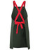 A green canvas apron with red cross-back straps and a tied bow at the waist. It features a logo.