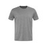 A grey T-shirt with short sleeves and a crew neckline. Features a logo on the front.