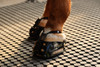 Scoot Enduro Hoof Boots