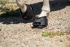 Cavallo Trek Pro Hoof Boot (single boot) Cavallo Trek Pro Hoof Boot (single boot)
