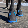 Easyboot RX2 Hoof Therapy Boot (single boot)