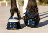 Navy Front Straps and Pastern Straps