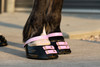 Blossom Front Straps and Pastern Straps