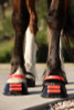 Hibiscus Front Straps and Pastern Straps