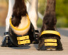 Marigold Front Straps and Pastern Straps