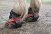 Flex Boot Hoof Boot (Single Boot)