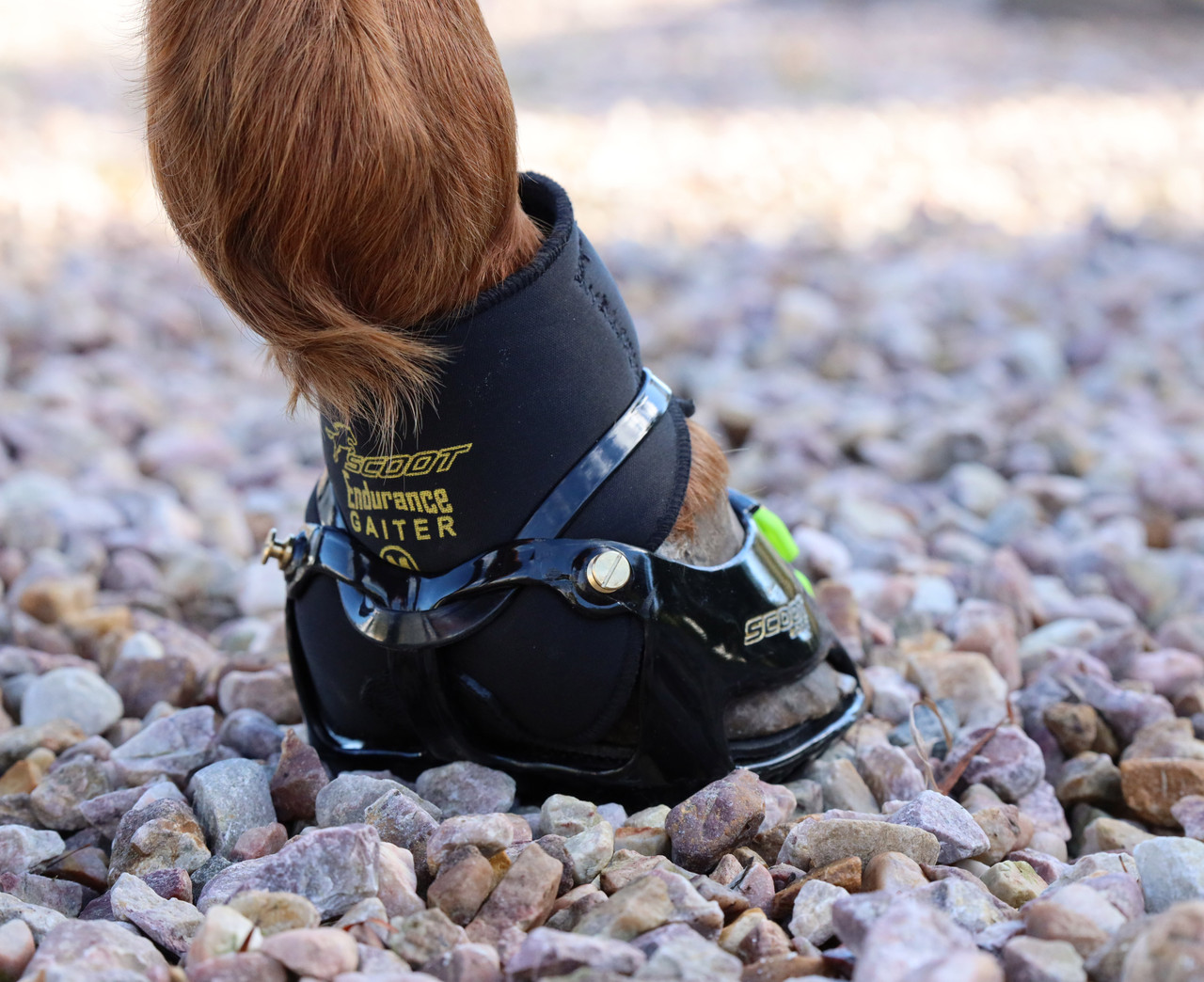 Scoot Boot Endurance Gaiter (pair) Hoof Bootique