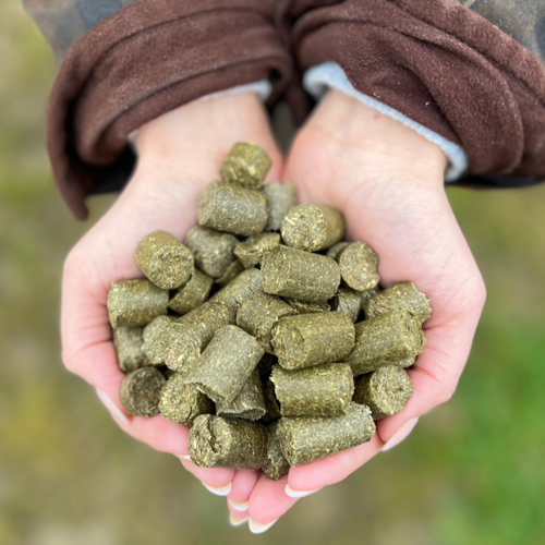 Silvermoor Eco Treatsies (1kg)