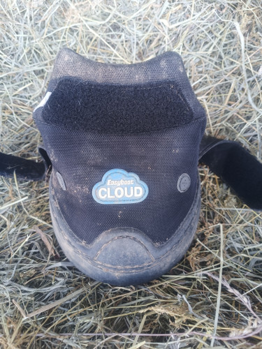 Used Easyboot Cloud Hoof Boots size 4 (1 pair)