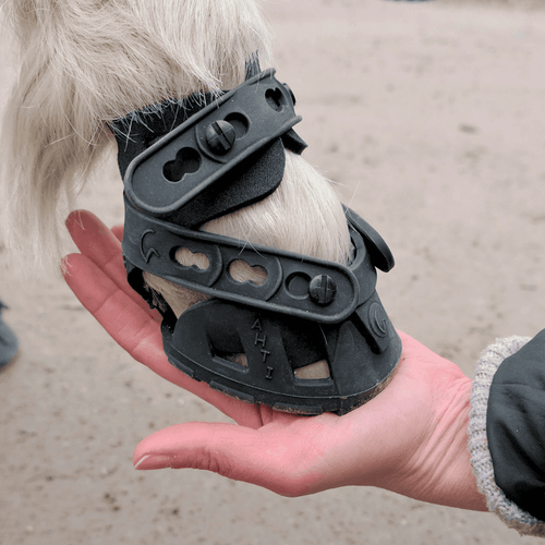 FlexMini Ahti Hoof Boot (single)