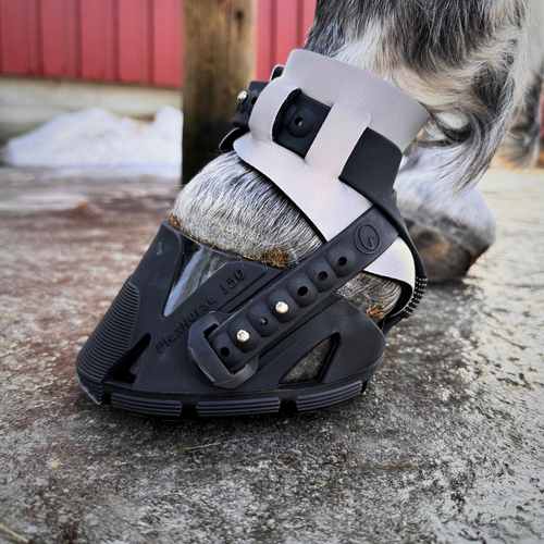 Flex Trail Kit