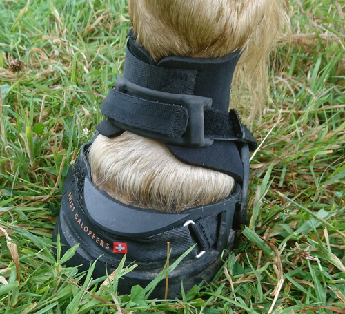Swiss Galoppers Long Gaiter/Pastern Protection (pair)