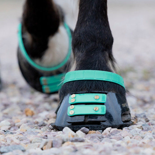 equine scoot boots