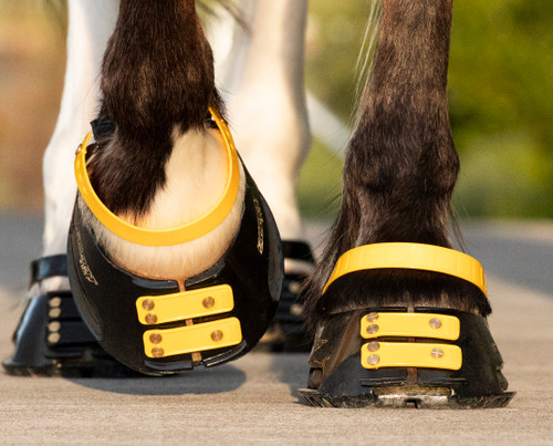 scoot hoof boots