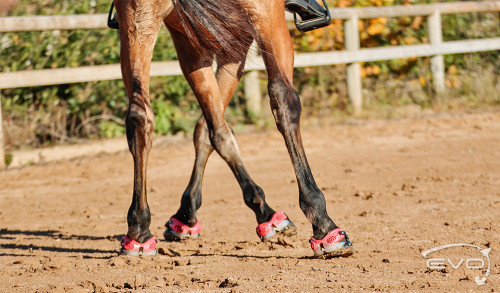 evo hoof boots