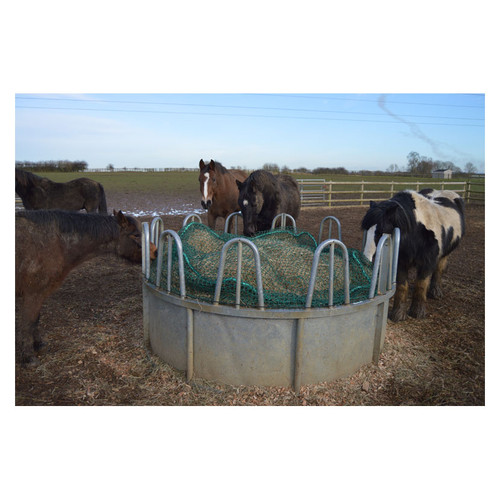 trickle net for horses