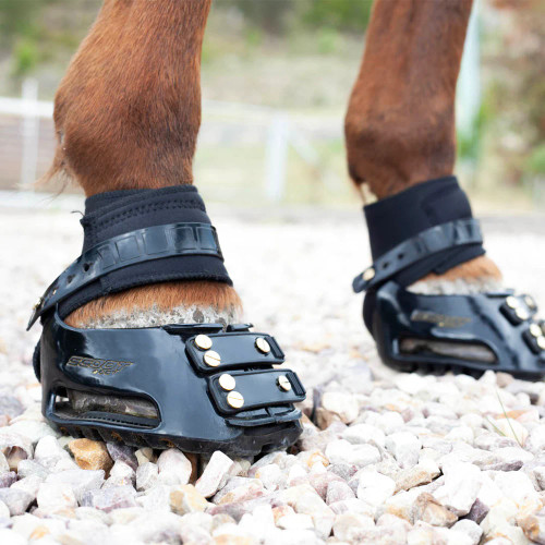 Scoot Boot Endurance Gaiter (pair)