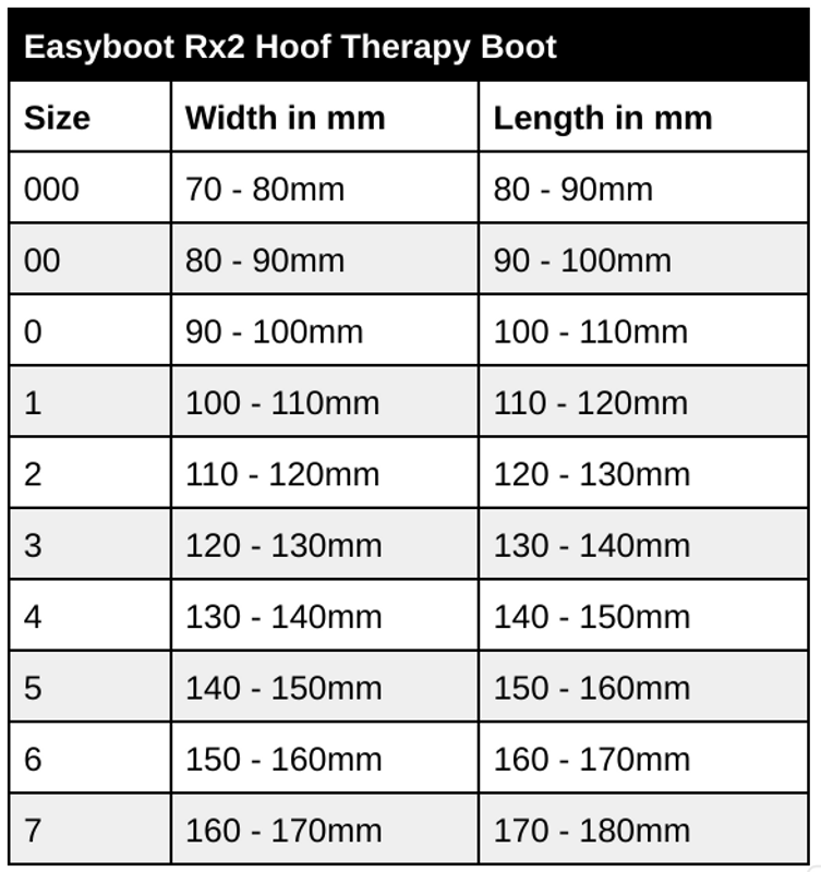 Easyboot RX2 Hoof Therapy Boot (single)