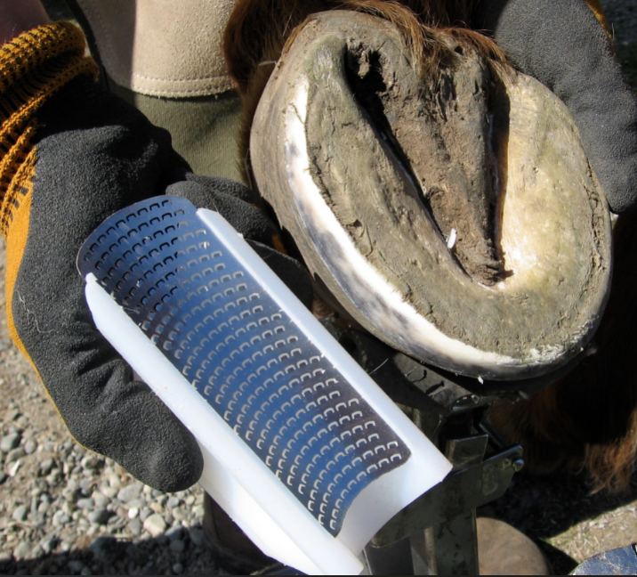 Radius Rasp-1 Original